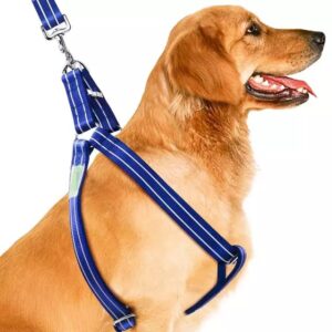 Petley Trendy Padded Dog Body Belt Harness and Broad Strap Padded Dog Leash Combo Set for Medium Dogs for Samoyed, Cocker Spaniel, Corgi, Bull-Dog, Whippet (Blue)