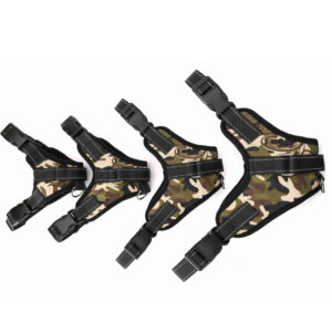 Pet Supplies Medium and Large Dog Dog Collar