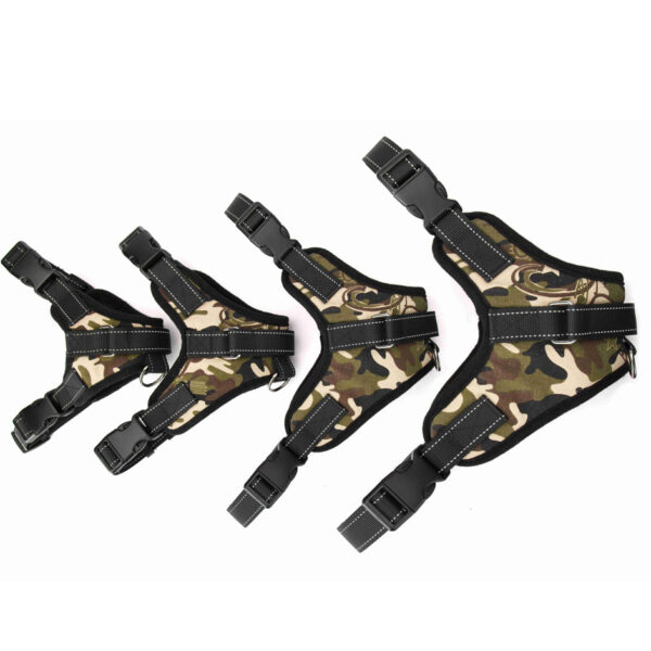 Pet Supplies Medium and Large Dog Dog Collar