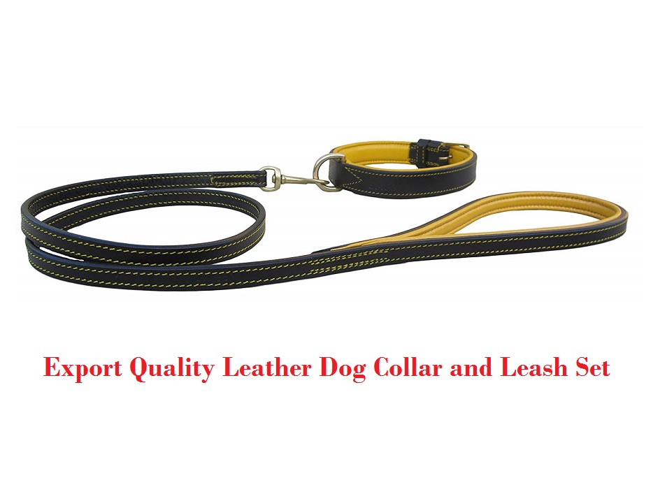 71WHkqU1IAL._SL1500_