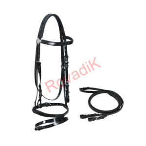 Biothane Horse Bridle and Reins