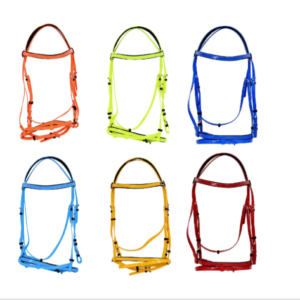 Biothane Horse Bridle and Reins