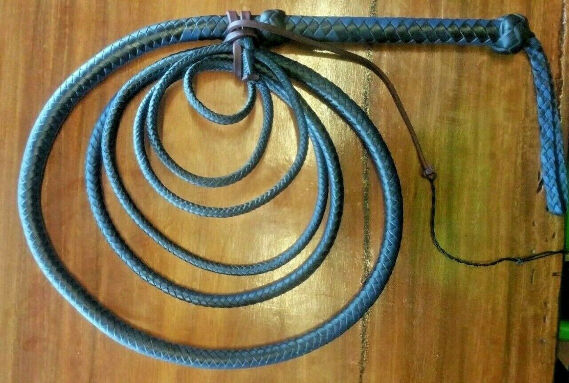 bull whip-2