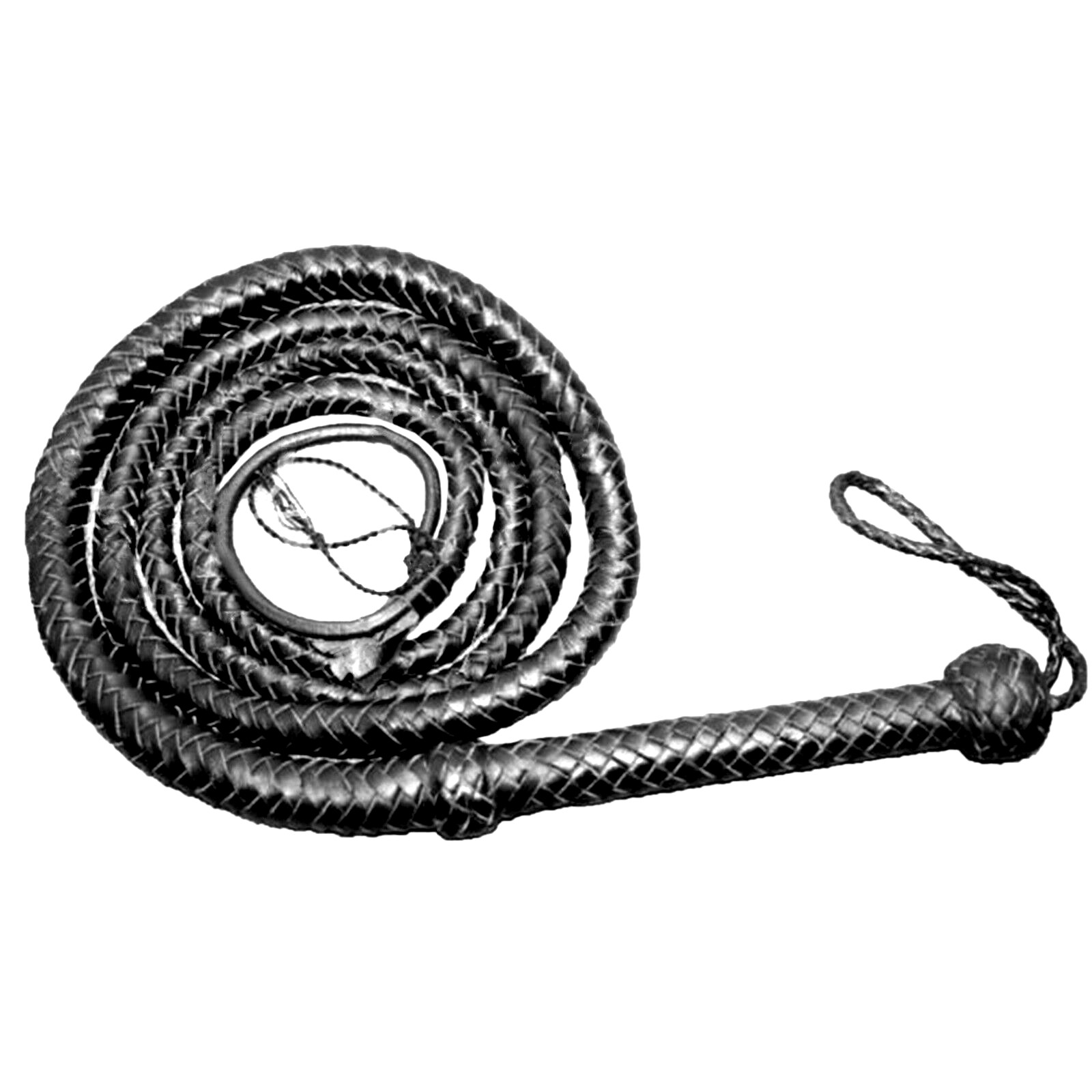 bull whip-8