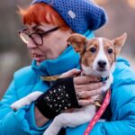 dog, woman, pet-6917563.jpg