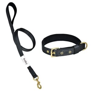 Rovadik Padded Dog Collar and Strap Dog Leash Combo, Strong and Durable Animal Collar For Small, Medium and Large Dogs (Neon Pink)