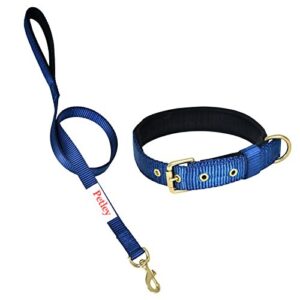 Rovadik Padded Dog Collar and Strap Dog Leash Combo, Strong and Durable Animal Collar For Small, Medium and Large Dogs (Navy Blue)