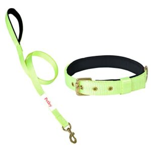 Rovadik Padded Dog Collar and Strap Dog Leash Combo, Strong and Durable Animal Collar For Small, Medium and Large Dogs (Neon Green)