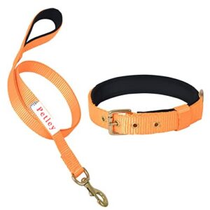 Dog Collar and Leash Set