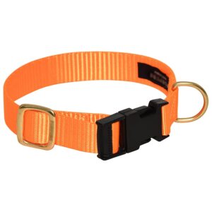Nylon Dog Collars