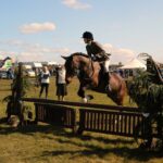 horse, rider, show-70771.jpg