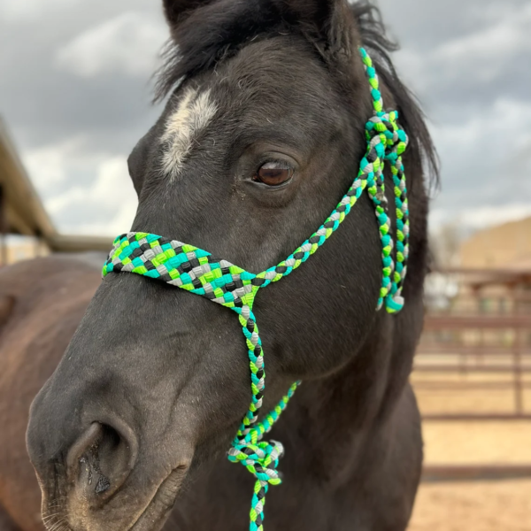Horse Mule Tape Halter