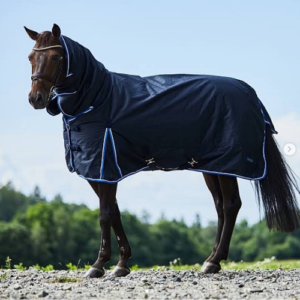 Horse Rugs