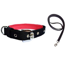 Rovadik Padded Dog Collar and Strap Dog Leash Combo, Strong and Durable Animal Collar, for Large Dogs, German Shepherd, Boxer, Golden Retriever, Labrador, Rottweiler, Dalmatian, Doberman (Black)