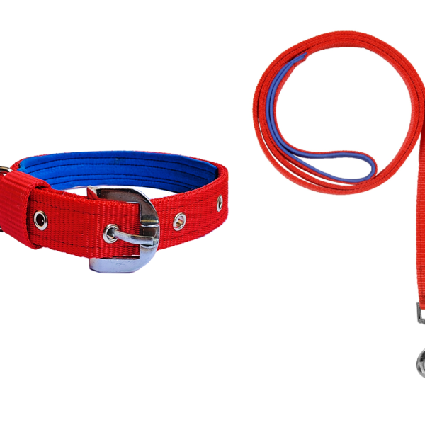 Rovadik Padded Dog Collar and Strap Dog Leash Combo, Strong and Durable Animal Collar, for Large Dogs, German Shepherd, Boxer, Golden Retriever, Labrador, Rottweiler, Dalmatian, Doberman (Red)