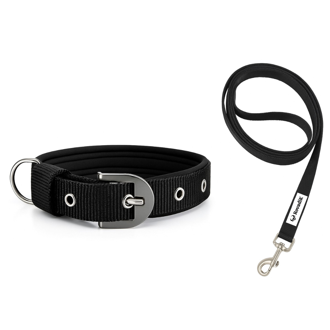 Dog Collar and Leash Set_Black_01