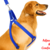 Rovadik No-Pull Padded Dog Harness with Strap Leash Combo Set for Medium Dogs, Adjustable, Comfortable, Dog Training, Dog Walking -for Beagle, Bull Dog, Basset Hound, Adult Indies, etc (Blue) - Thumbnail Image 3