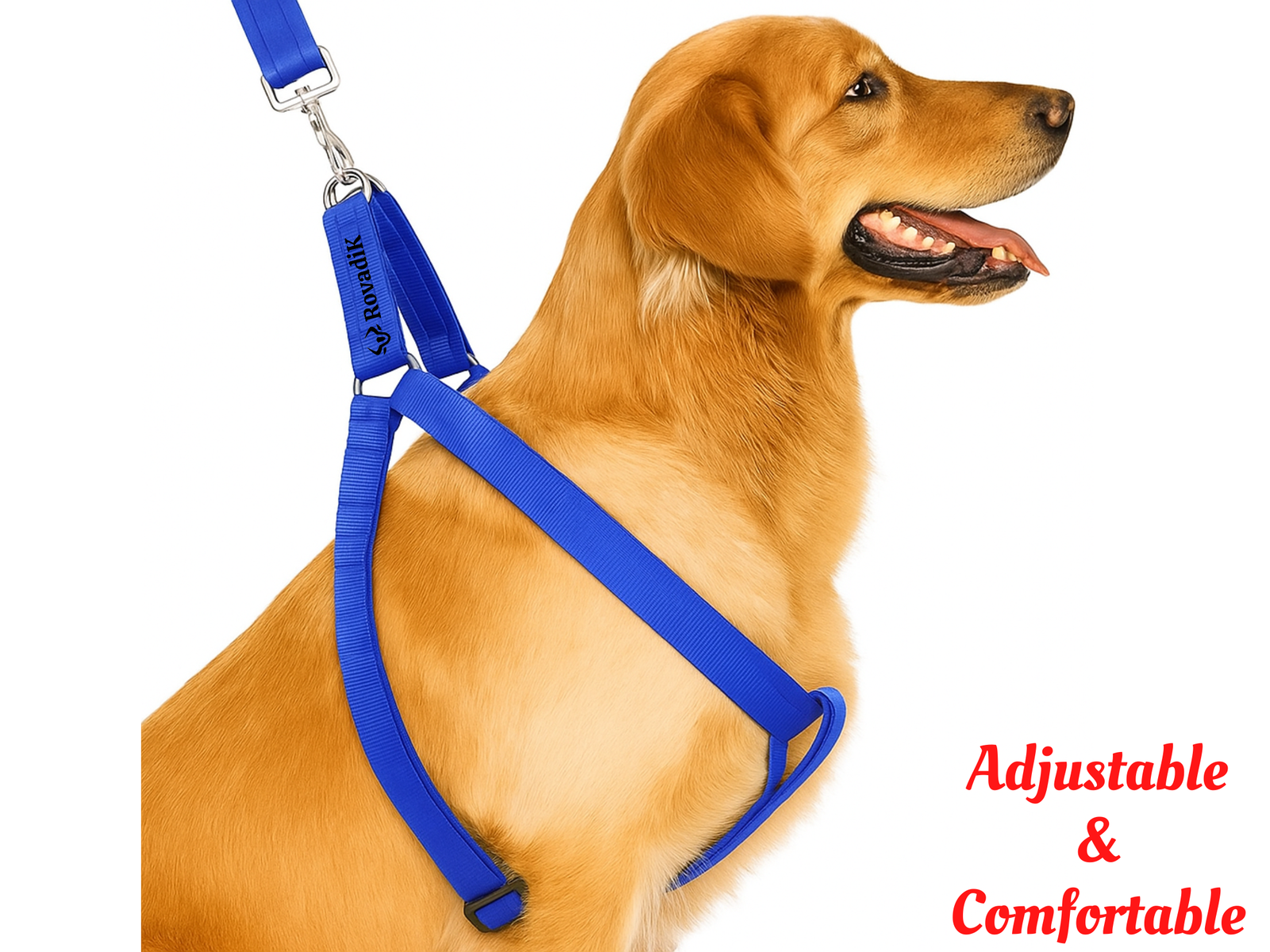 Rovadik No-Pull Padded Dog Harness with Strap Leash Combo Set for Medium Dogs, Adjustable, Comfortable, Dog Training, Dog Walking -for Beagle, Bull Dog, Basset Hound, Adult Indies, etc (Blue) - Image 3