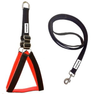 Rovadik No-Pull Padded Dog Harness with Strap Leash Combo Set for Medium Dogs, Adjustable, Comfortable, Dog Training, Dog Walking -for Beagle, Bull Dog, Basset Hound, Adult Indies, etc (Black)