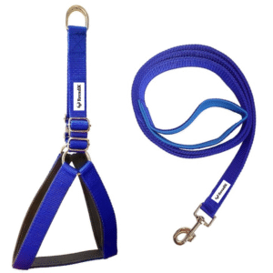 Rovadik No-Pull Padded Dog Harness with Strap Leash Combo Set for Medium Dogs, Adjustable, Comfortable, Dog Training, Dog Walking -for Beagle, Bull Dog, Basset Hound, Adult Indies, etc (Blue)