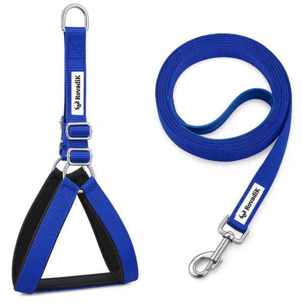 Rovadik No-Pull Padded Dog Harness with Strap Leash Combo Set for Medium Dogs, Adjustable, Comfortable, Dog Training, Dog Walking -for Beagle, Bull Dog, Basset Hound, Adult Indies, etc (Blue)