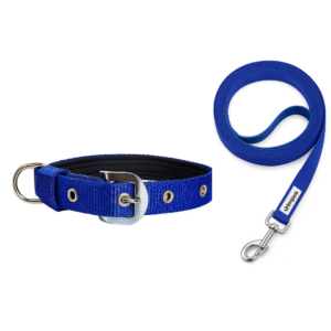 Rovadik Padded Dog Collar and Strap Dog Leash Combo, Strong and Durable Animal Collar, for Large Dogs, German Shepherd, Boxer, Golden Retriever, Labrador, Rottweiler, Dalmatian, Doberman (Blue)