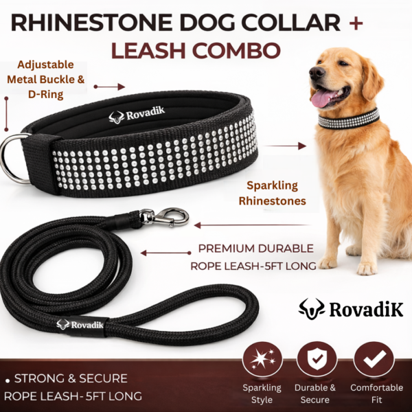 Diamond Bling Dog Collar & Leash Combo – Bling Diamond for Dog Beauty, Adjustable Safety Collar with Strong Metal Buckle for Large Dog (Large)