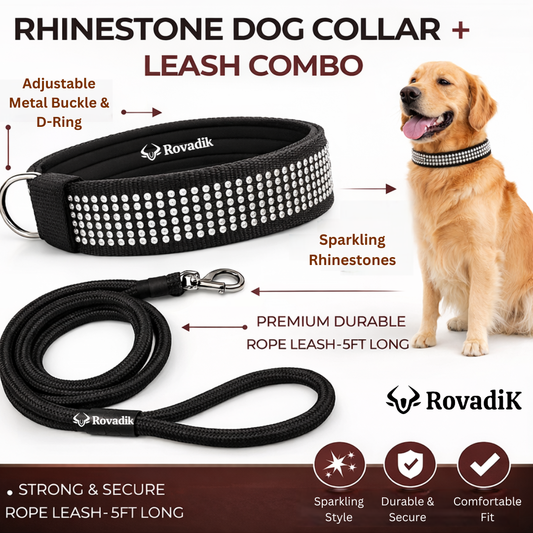 Diamond Dog Collar_Black_06