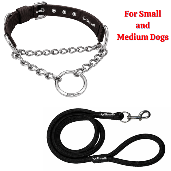 Rovadik Anti-Bite Dog Choke Collar & Leash Combo – Iron Chain for Dog Protection| Adjustable | Safety | Comfortable | for Small & Medium Dogs | Pug, Shih Tzu, Lhasa Apso, Pomeranian, Beagle, Bulldog, Indie