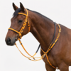 Biothan Horse Bridle with Reins_Yellow_01