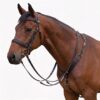 Biothane Horse Bride Black_Image_01