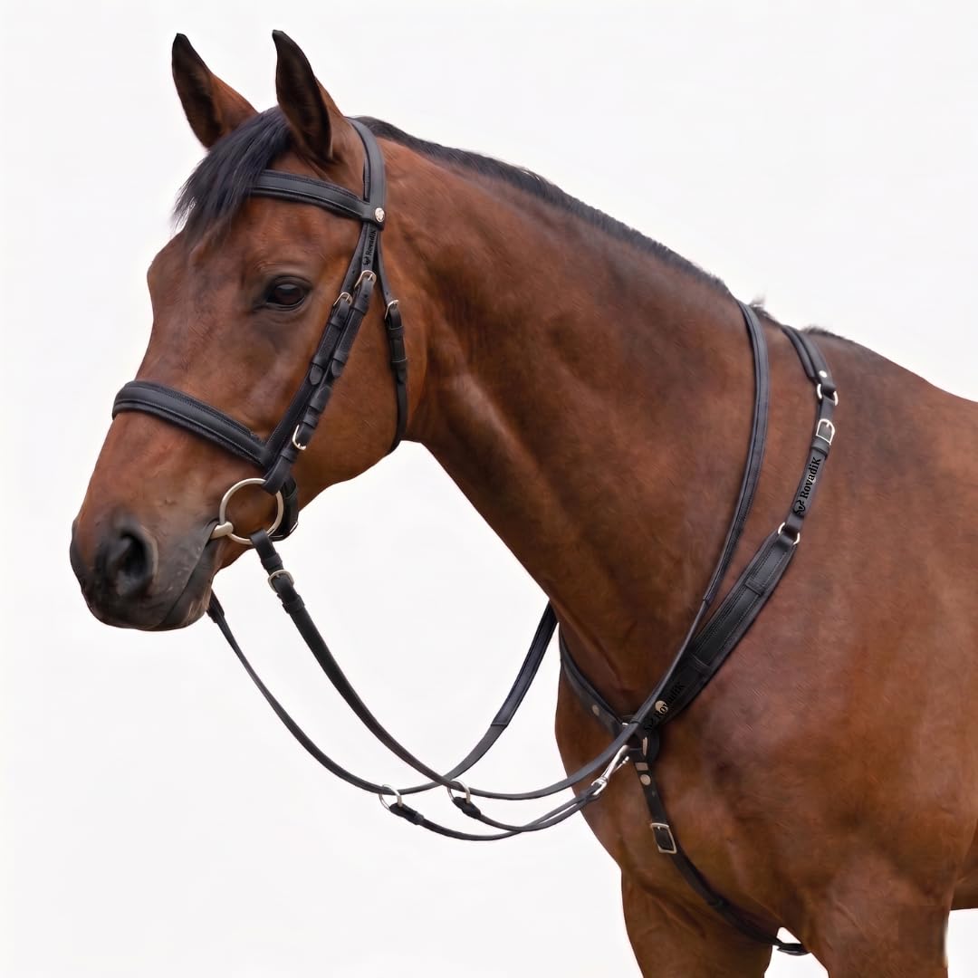 Biothane Horse Bride Black_Image_01