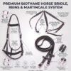 Biothane Horse Bride Black_Image_04