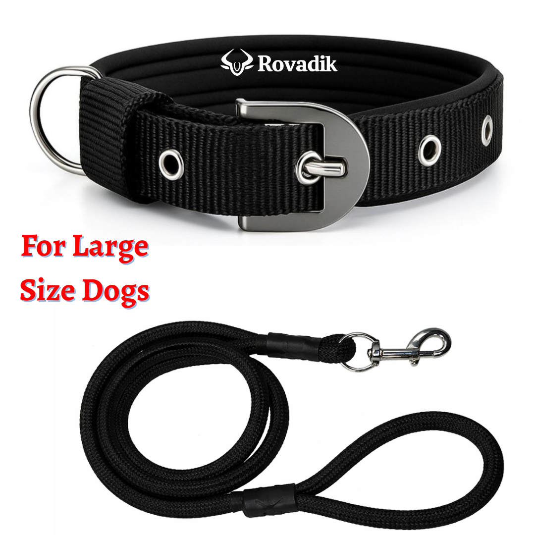 Black Collar and Leash Combo_04