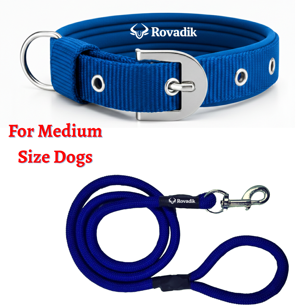 Blue Collar and Leash Combo_01.02
