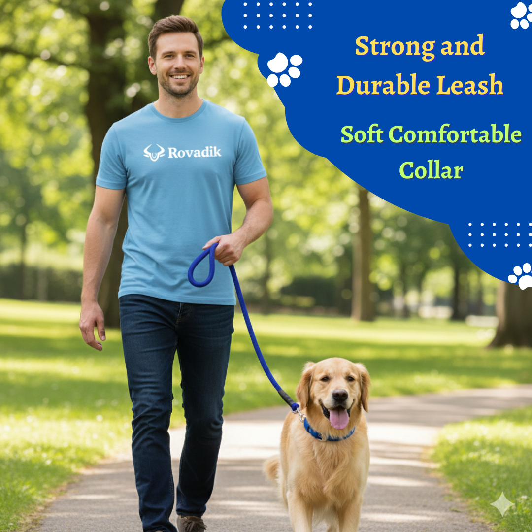 Blue Collar and Leash Combo_02.01