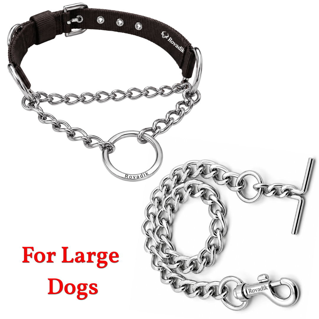 Dog Choke Collar and Chain Combo Set_Black_Large_01