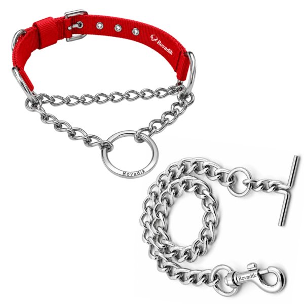 Rovadik Anti-Bite Choke Dog Collar & Dog Chain Combo – Chain for Dog Protection| Adjustable | Safety | Comfortable | for Small & Medium Dogs | Pug, Shih Tzu, Lhasa Apso, Pomeranian, Beagle, Bulldog, Indie