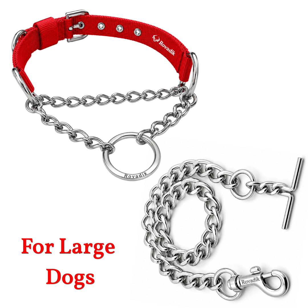 Dog Choke Collar and Chain Combo Set_Red_Large_01