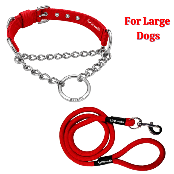 Rovadik Anti-Bite Dog Choke Collar & Leash Combo – Iron Chain for Dog Protection| Adjustable | Safety | Comfortable | for Large Dogs, German Shepherd, Boxer, Golden Retriever, Labrador, Rottweiler, Dalmatian, Doberman