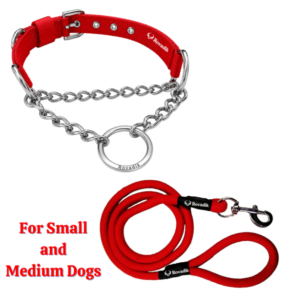 Rovadik Anti-Bite Dog Choke Collar & Leash Combo – Iron Chain for Dog Protection| Adjustable | Safety | Comfortable | for Small & Medium Dogs | Pug, Shih Tzu, Lhasa Apso, Pomeranian, Beagle, Bulldog, Indie