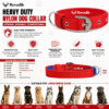 Dog Collar _Info_RED