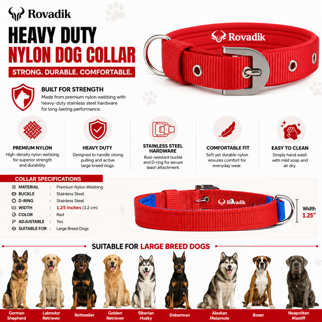 Dog Collar _Info_RED