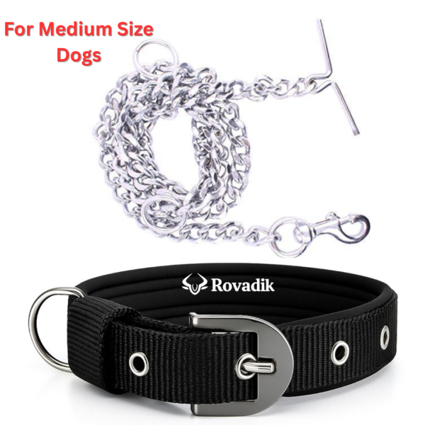 Rovadik Dog Collar and Dog Chain Combo Set | Adjustable | Padded | Comfortable | for Small & Medium Dogs | Pug, Shih Tzu, Lhasa Apso, Pomeranian, Beagle, Bulldog, Indie (Black, Medium)