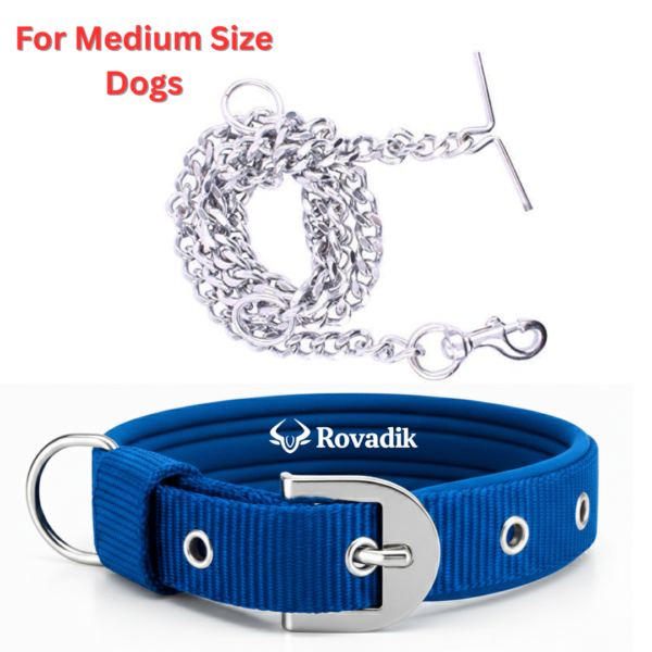 Rovadik Dog Collar and Dog Chain Combo Set | Adjustable | Padded | Comfortable | for Small & Medium Dogs | Pug, Shih Tzu, Lhasa Apso, Pomeranian, Beagle, Bulldog, Indie (Blue, Medium)