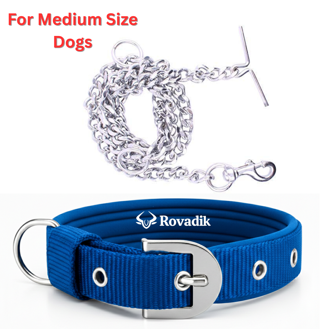 Dog Collar and Leash Set - Size Medium_Blue