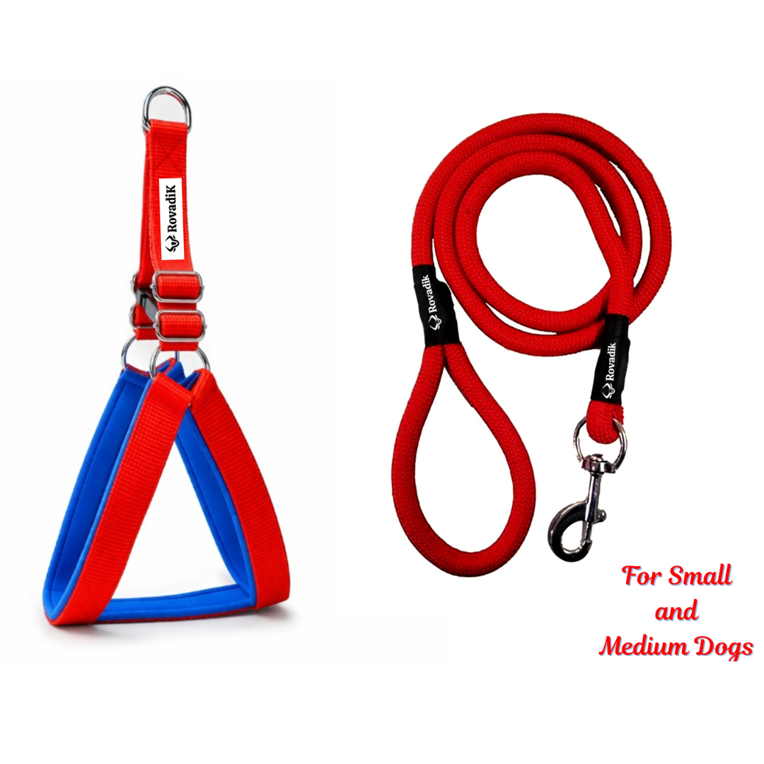 Dog_Collar_Harness_Leash_Combo_Red_03_Medium