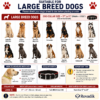 Large Dog Breed Size Collar Chart
