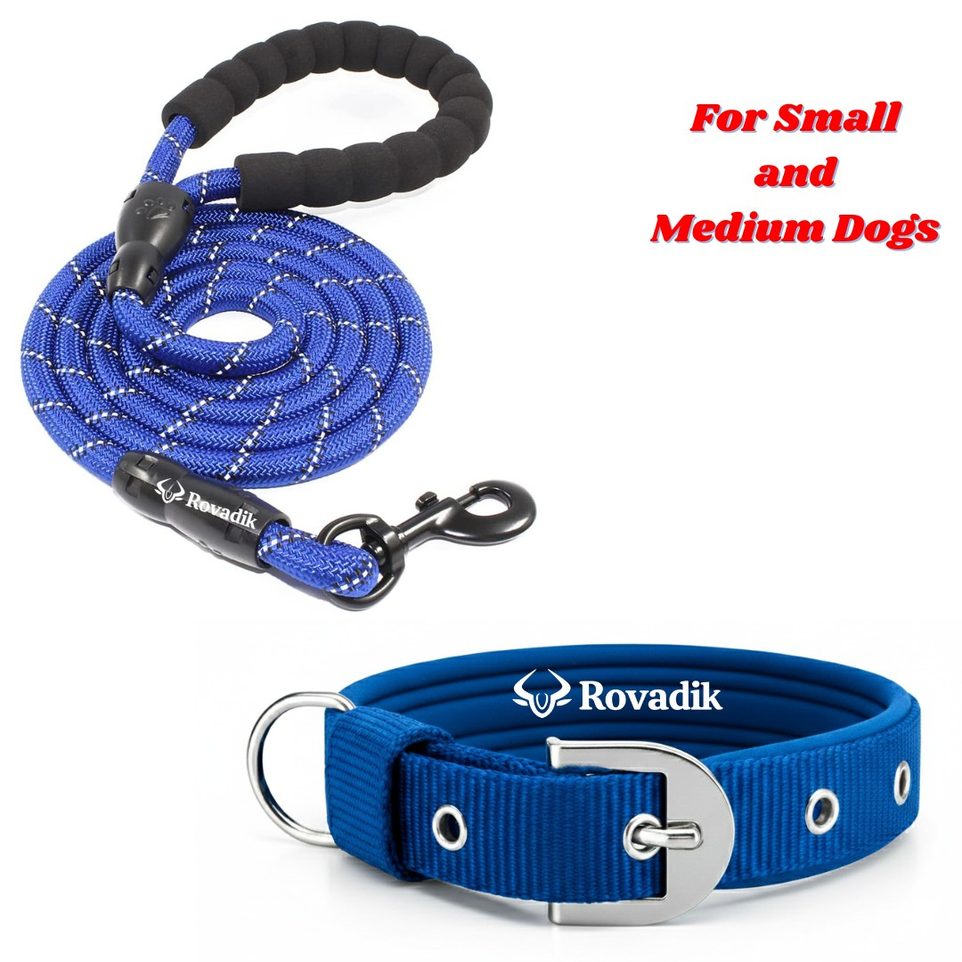 Reflective Collar and Leash Set_Blue_01.01