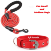 Reflective Collar and Leash Set_Red_01.01